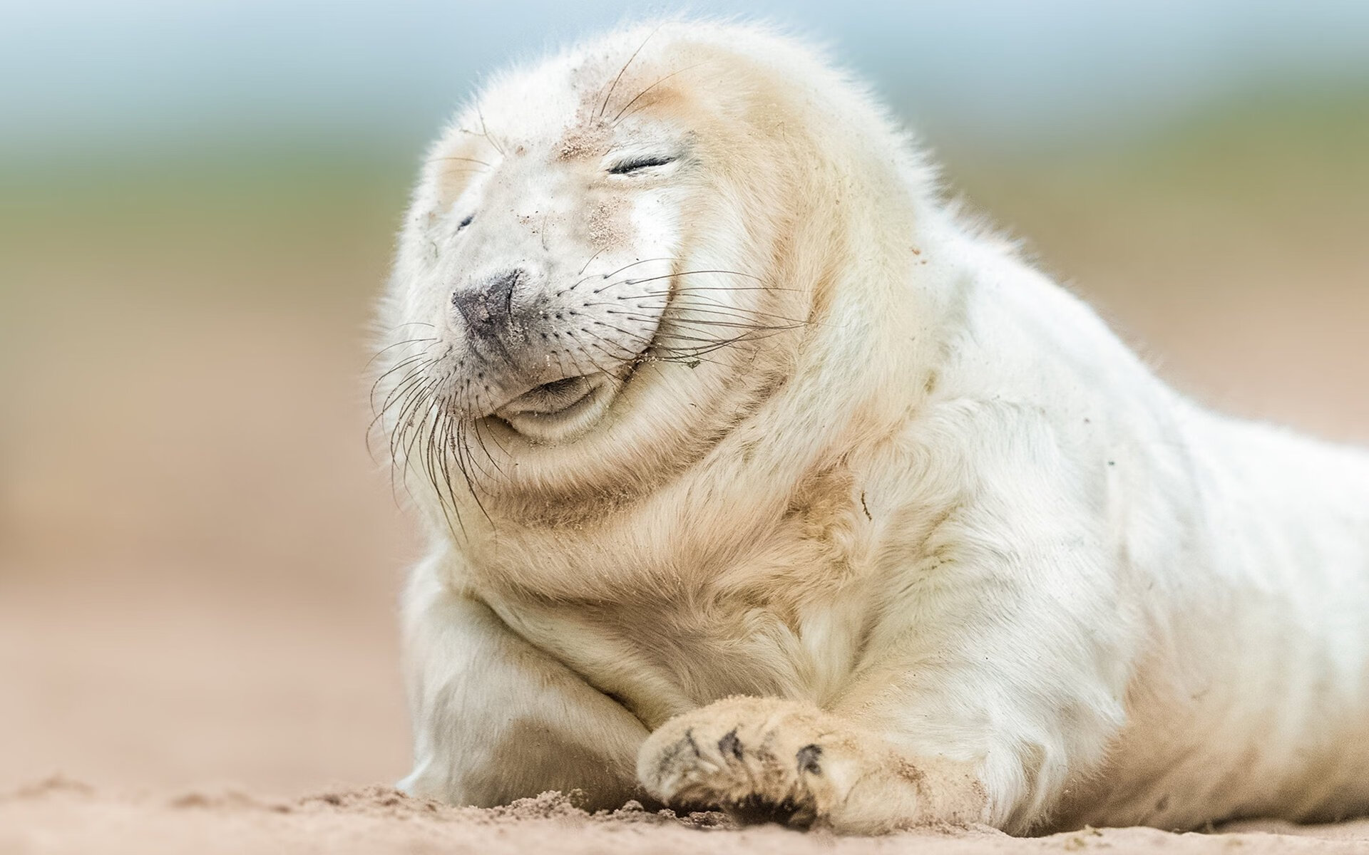 青少年运动健康评估,青少年运动等级评测有什么用