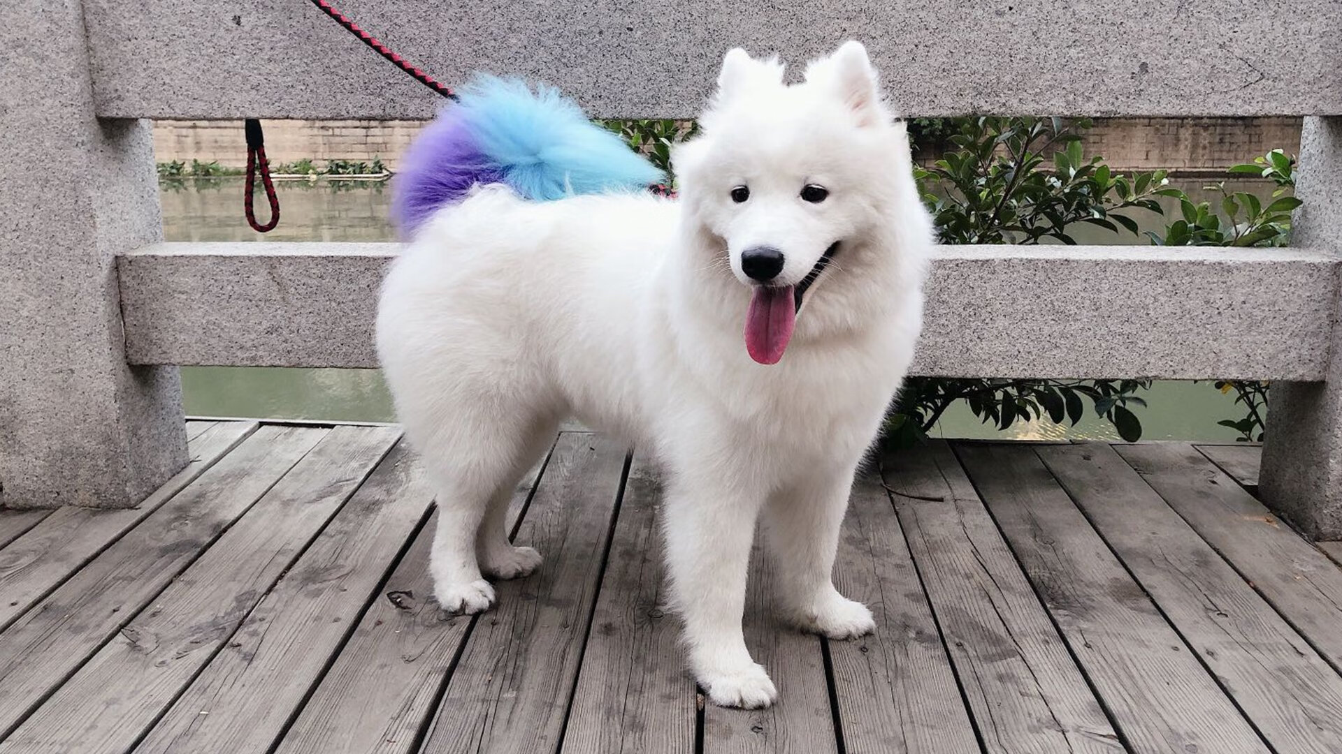 中国女篮内线球员发挥出色 成为取胜保障，中国女篮队员美女