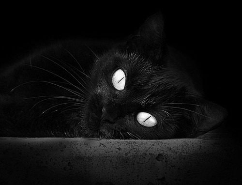 印度乒乓赛制解析：如何在世界舞台崭露头角，印度乒乓球名将